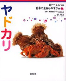 ヤドカリ