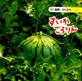 楽天市場 スイカ 絵本 児童書 図鑑 本 雑誌 コミック の通販