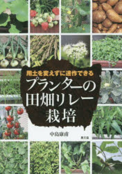 イシダ美容 紙洗顔 すこやか美顔和紙 本品 25枚×2