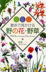 散歩で見かける野の花・野草 春の野の花・野草 夏の野の花・野草 秋／冬の野の花・野草