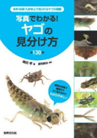 写真でわかる!ヤゴの見分け方全130種 本州・四国・九州本土で見られるヤゴの図鑑