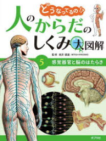 どうなってるの!?人のからだのしくみ大図解 5