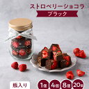 【お買い物マラソン☆P10倍】ストロベリーショコラ（ブラック）手提げ袋付