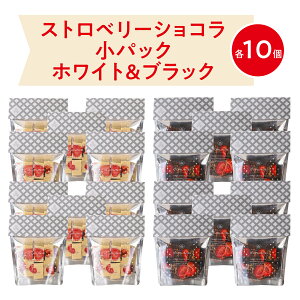 �X�g���x���[�V���R���i�z���C�g�j�p�b�N�i���j