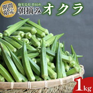 【送料無料】鹿児島県 生産量 日本一 朝摘み 新鮮オクラ 約1kg おくら 産地直送 野菜 鹿児島 指宿市 新鮮…