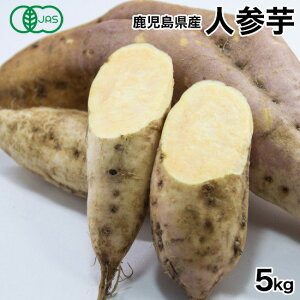 人参芋の通販 価格比較 価格 Com