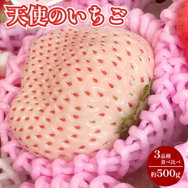 楽天市場】予約販売 送料無料 高級 大粒 いちご 3種 食べ比べ セット 