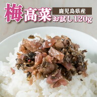 【DEAL50%ポイントバック！〜 8/12 9:59】1000円 ポッキリ 送料無料 梅高菜 ご飯のお供 鹿児島県産 高菜 …
