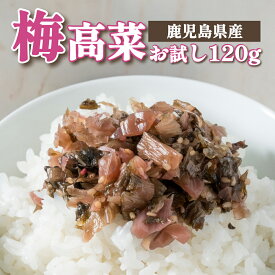 【DEAL50%ポイントバック！〜 8/12 9:59】1000円 ポッキリ 送料無料 梅高菜 ご飯のお供 鹿児島県産 高菜 たかな 高菜漬け 高菜漬 漬物 漬け物 高菜炒め 梅 ウメ うめ おにぎり ご飯のおとも 梅 混ぜご飯 梅漬け 国産 ごはん お茶漬け ご当地 グルメ おかず 食材