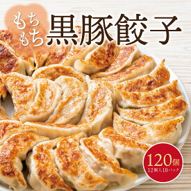 送料無料 ふるさと納税で人気 国産素材 黒豚 もちもち 生餃子 120個入り 大容量 餃子 ぎょうざ 生餃子 肉汁 黒豚餃子 黒豚 かごしま黒豚 鹿児島黒豚 黒豚餃子 冷凍 冷凍餃子 食品 冷凍食品 ご当地 大容量 惣菜 おかず お惣菜