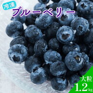 送料無料 栽培期間中 農薬・化学肥料不使用 冷凍ブルーベリー 1.2kg ブルーベリー 冷凍 観光農園ワダ 産…