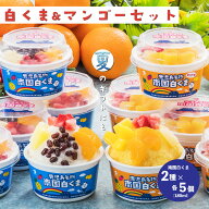 【先着順！8/7 20時〜クーポン利用で3,790円!】お中元 本場 マンゴー味セット 南国白くま &白くまマンゴ…