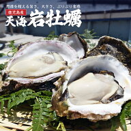 【2026年 発送開始！】 デイリー牡蠣部門1位! 産地直送 長島産 訳あり 80サイズ 箱詰め 殻付き 生牡蠣 岩…