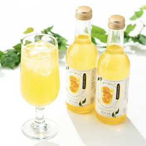 yz݂TC_[ 24{Zbg hN F   Yn  n nO Hi H O  Mtg Hו v[g   