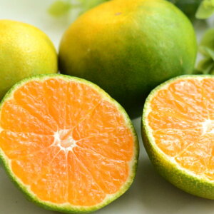 yʌIz oY ݂ 5kg Yn ~J ݂  k kn   n nO Hi H O  Mtg Hו v[g ʕ t