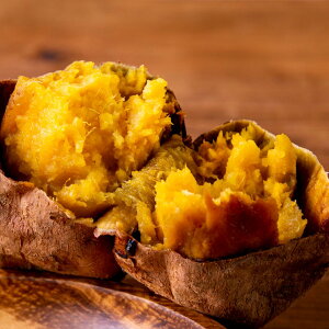  qY [  XC[c n p ܂ ܈ Tc}C Ă Ĉ   C   e Ƒp  nO  Yi Yn 