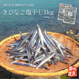 【送料無料】 きびなご塩干し 1kg（500g×2個） 鹿児島県 甑島産 薩摩川内市 馬場水産加工場 きびなご キビナゴ 塩干 塩干し 鹿児島 ご当地グルメ ご当地 グルメ 家族用 ご家族用 ご家庭用 家庭用 お取り寄せ 産地直送 おつまみ お酒のお供 ご飯のお供 お中元 御中元 魚