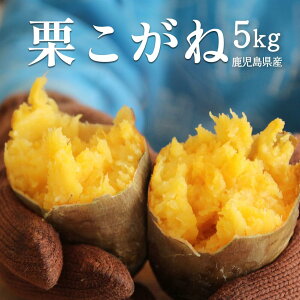 【スーパーDEAL 30%ポイントバック 〜27日 9:59】 送料無料 鹿児島県 希少 栗こがね芋 5kg プレミア芋 ねっとり系 芋 さつまいも サツマイモ 焼き芋 産地直送 野菜 鹿児島 指宿市 新鮮 甘い 贈答