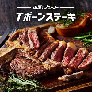 e BBQ T{[  uh Xe[L 550g 650g 1.3kg 2.6kg v[g  q T[C t   蕨  Ⓚ Mtg  ubN v[g o[xL[ 