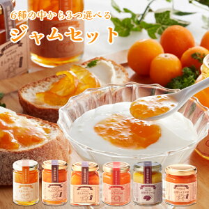 yz6킩3Iׂ WZbg W R|[g 傤 rlC lߍ킹  Yn Hi 蕨 n 䒆  O  Mtg v[