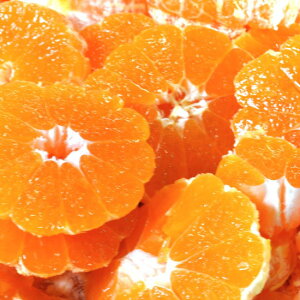 yz嗢݂ 4kg ʕ t[c   Â  䒆  Yn Hi 蕨 n 䒆  O  Mtg v[g  a 