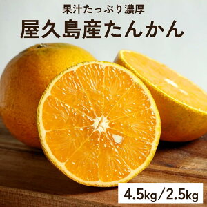 ���\���t���� ���v�� ������ ���񂩂� �ʕ� �t���[�c �ƒ�p ������ �Y�n���� �~�J�� �݂��� ���� ���k ���k�n ������ �����n �H�i ���� �M�t�g �H�ו� �v���[���g �{�̉ʕ� �{�̃t���[