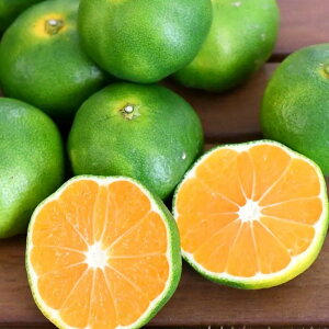 【数量限定!】鹿児島 いちき串木野産 極早生みかん 5kg 産地直送 ミカン みかん 蜜柑 柑橘 柑橘系 鹿児島県 お取り寄せ ご当地 ご当地グルメ 食品 食材 グルメ 贈答 ギフト 食べ物 プレゼン