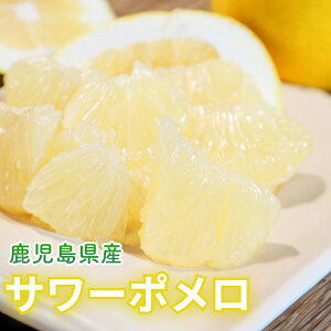 y\̔zY {̊k  ؖ T[| 8kg (16~26ʓ)      Yn ~J ݂ k  n t[c XC[c O  