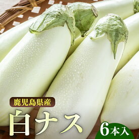 ※予約販売【送料無料】とろーり旨ナス 白ナス 6本入り なす 白なす 鹿児島 産地直送ご当地 グルメ お取り寄せ 特産品 野菜 ナス 茄子 なす なすび matsuki gardening 鹿児島県 白いなす 白い茄子 白茄子 白ナス 白いナス ギフト