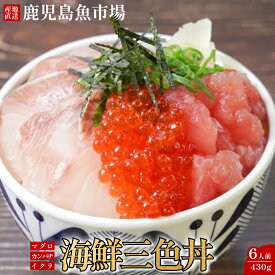 【送料無料】創業150年 産地直送 マグロ・カンパチ・イクラ 3種丼 6人前 (3人前×2食セット) 津曲商店 鹿児島 九州 海鮮丼 冷凍 鮮魚 かんぱち いくら 寿司 どんぶり 丼 海鮮 新鮮 イクラ丼 まぐろ丼 かんぱち丼 お歳暮 御歳暮 ネタセット お取り寄せ 刺し身 刺身