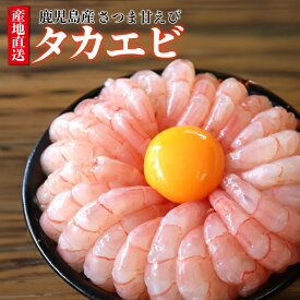 送料無料 創業150年 産地直送 超プリプリ タカエビ 約600g 約1200g 薩摩の甘海老 甘海老 アマエビ 甘エビ 刺身用 津曲商店 鹿児島 九州 海鮮丼 冷凍 鮮魚 寿司 どんぶり 丼 海鮮 新鮮 海鮮丼の具 ネタセット お取り寄せ 刺し身 刺身 えび エビ 特産品 海老 さつま甘エビ