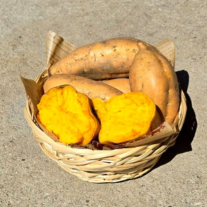 yzwhY I  2kg 5kg 傫߃TCY e  XC[c n p ܂ ܈ Ă Ĉ   C   e Ƒp  Yi Yn