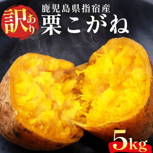 yz󂠂 whY I  v~A  5kg e  Â XC[c n p ܂ ܈ Ă Ĉ  C   e  nO Yi Y