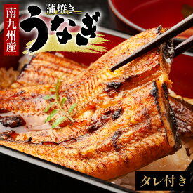 送料無料 南九州産 有頭 うなぎ 蒲焼き タレ 山椒 付き 2025 土用丑の日 国産 鹿児島 宮崎 ウナギ 鰻 かば焼き 蒲焼 ウナギの蒲焼き 鰻の蒲焼き ご当地 グルメ お取り寄せ 贈答 九州産 ギフト プレゼント タレ 鰻重 土用 土用丑の日 御中元 敬老の日