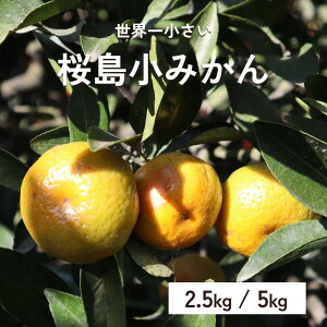 �������� �������݂��� 2.5kg 5kg �������� ���������Y ������ �����n�O���� ������ �Y�n���� �Z�b�g �M�t�g �v���[���g �䒆�� ������ ��̓� ���̓� ��e�� �ʕ� �t���[�c �~�J�� ���k ��