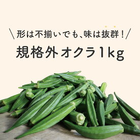 【送料無料】鹿児島県 生産量 日本一 訳あり 規格外オクラ 1kg おくら 産地直送 野菜 鹿児島 新鮮 大容量 内薗ファーム オクラ水 おくら オクラウォーター ギフト プレゼント 旬 野菜 旬野菜 贈答 贈り物 母の日 父の日