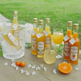 【送料無料】鹿児島県 家庭用 選べるシロップ2本セット 産地直送 お取り寄せ ご当地 ご当地グルメ 食品 食材 グルメ 贈答 ギフト 清木場果樹園