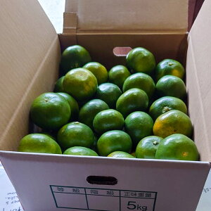 yʌIz ؖs 嗢Y݂ ܑ Yn ~J ݂  k kn   n nO Hi H O  Mtg Hו