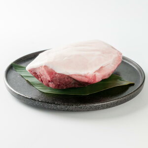 yzY  ubN Ԑg WrG CmVV Y ē Xe[L [Xg 񂹃O BBQ o[xL[ Hi H v[g Mtg  䒆 Ⓚ 