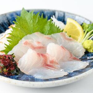 yzSNt̐^ qY}_ChgpTNi600gj  CN  ܂ т̂ ͂̂ т̂Ƃ Yn  O n nO Hi H