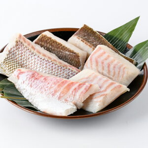 yzSNt̐^⎂qY}_C hgthg TNHהׁi600gj  CN  ܂ т̂ ͂̂ т̂Ƃ Yn  O n 