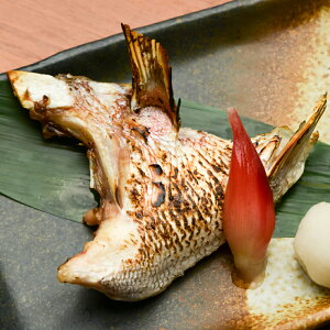 yzSNt̐^ qY}_C Mp؂g 560g  CN  ܂ т̂ ͂̂ т̂Ƃ Yn  O n nO Hi H