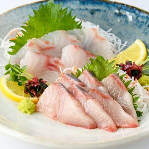 yzSNt̐^ qY uƐ^ hgpHהׁi1.2kgj  CN  ܂ т̂ ͂̂ т̂Ƃ Yn  O n n