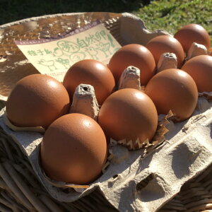 yz܂鎩R e ܂ т̂   Y  nO  Yn Mtg v[g 䒆  ̓ ̓