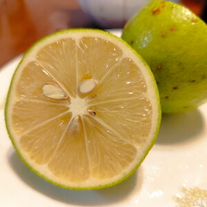 yz󂠂 PA s  哇Y  Yn k  n t[c XC[c O  Mtg v[g ʕ Mtg e