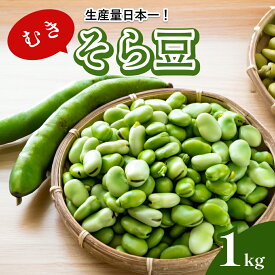 送料無料 生産量 日本一 鹿児島県産 朝摘み むきそら豆 1kg 大きさおまかせ とれたて 大粒 旬 鹿児島県 指宿 産直 産地直送 空豆 蚕豆 天豆 そらまめ ソラマメ ソラ豆 野菜 ご当地 お取り寄せ ギフト 特産品 プレゼント アグリスタイル 業務用 剥きそら豆