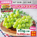 48時間の限定販売 レイクレ Lazy Lie Crazy コラボ シャインマスカット 約1kg 2房 送料無料 長野県産 10/7 10/8 10/9 …