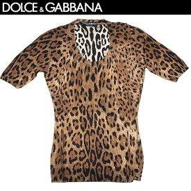 ドルチェ＆ガッバーナ DOLCE&GABBANAドルガバ レディース トップス 薄手ニット Tシャツ 半袖 ロゴ ひょう柄 レオパード柄 カットソー 茶色 ブラウン FF047K F36B2 X0918 13S (R108000)【送料無料】【smtb-TK】