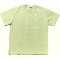 楽天市場】givenchy tシャツ（カラーグリーン）（Tシャツ・カットソー 