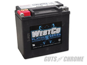 9800-4000 �E�G�X�g�R�o�b�e���[ 02-06�N V-ROD�p OEM 65948-00 WCP14